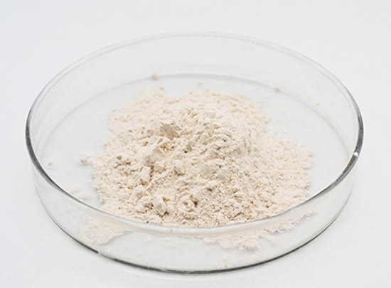 what is the difference between stable bleaching powder